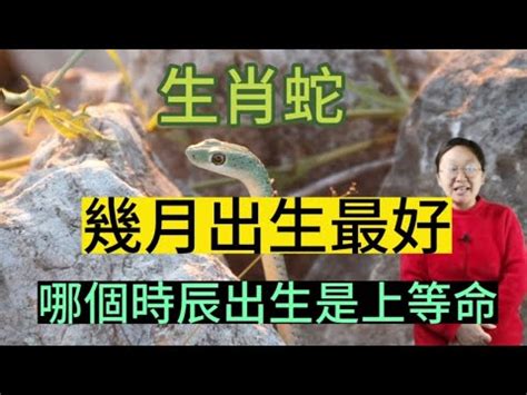 土蛇年|土蛇是什么命？探寻土蛇人的命运与特点